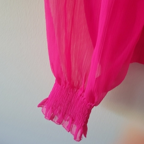 Ann Taylor Fuchsia Ruffled Blouse - Picture 6 of 10